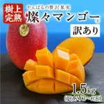 沖縄県産の燦々マンゴーも通販で訳あり品だとココまで安い！やんばるの贅沢果実です♪　フルーツ・果物